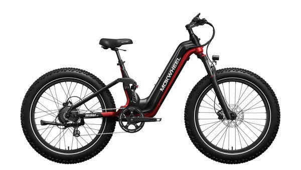 Mokwheel Obsidian ST | All terrain Step Through Electric Bike