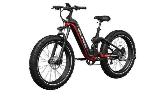 Mokwheel Obsidian ST | All terrain Step Through Electric Bike