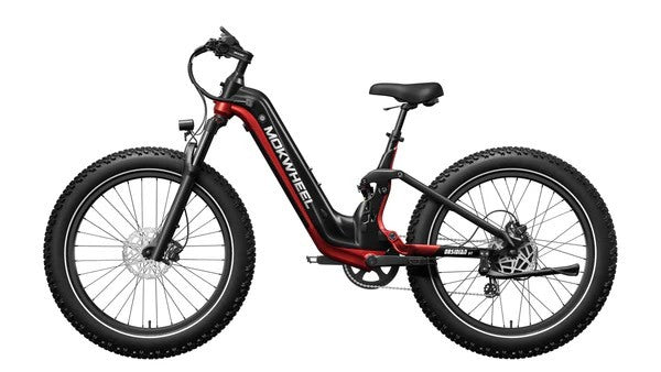 Mokwheel Obsidian ST | All terrain Step Through Electric Bike