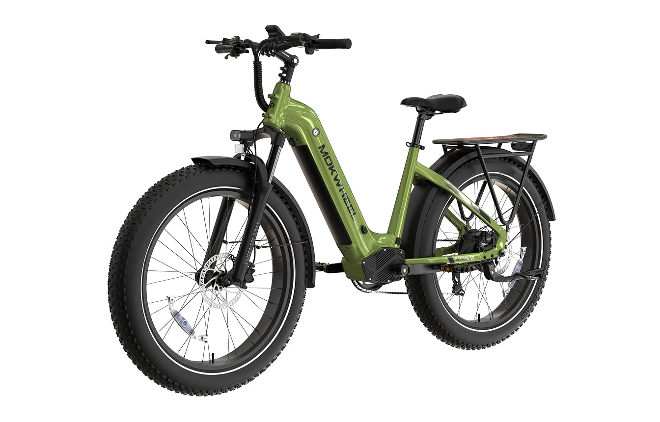 Mokwheel Basalt Step Through 2.0
