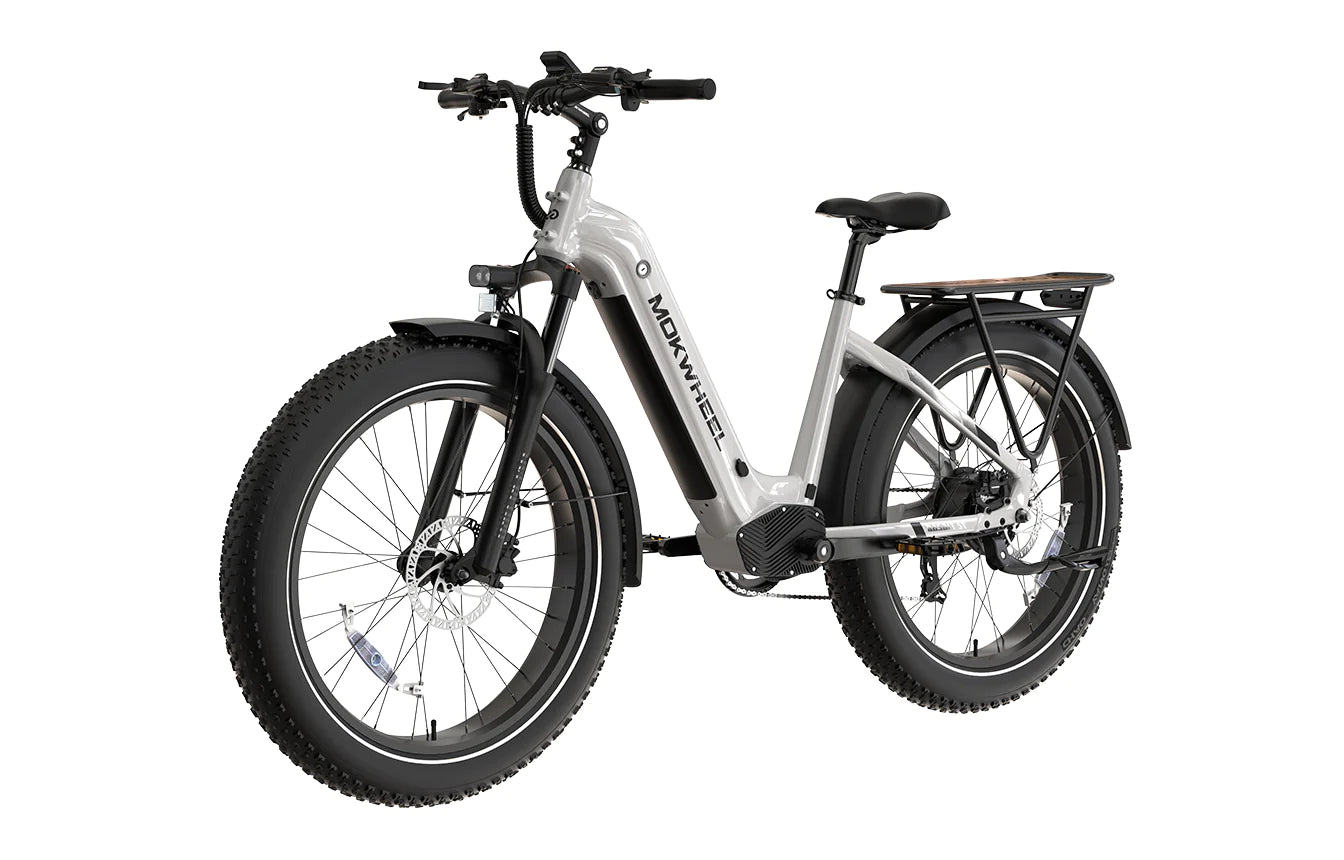 Mokwheel Basalt Step Through 2.0