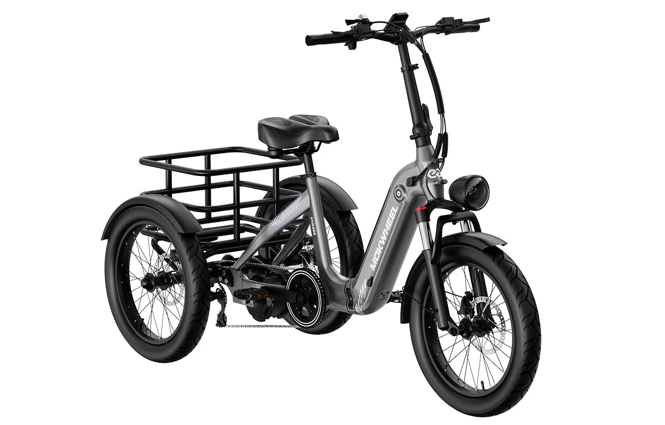 Buy Mokwheel Granite Trike in Des Moines E Zip-N-Zoom