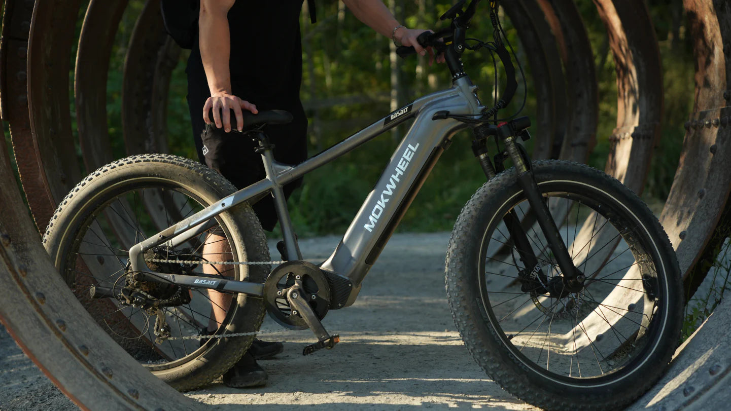 mokwheel_basalt_picture
