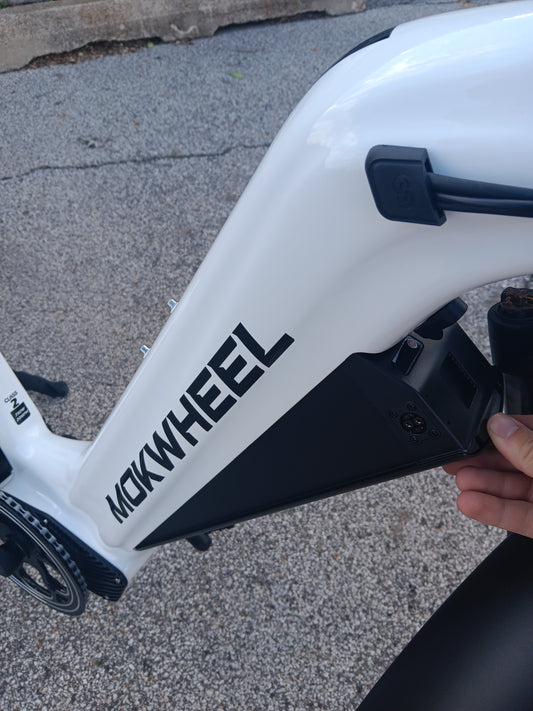 Electric ST Mountain Bike | Mokwheel Basalt Step Through 2.0 White