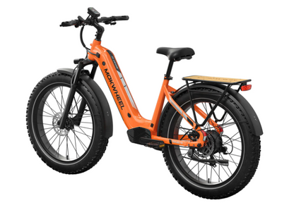 Mokwheel Basalt Step Through 2.0