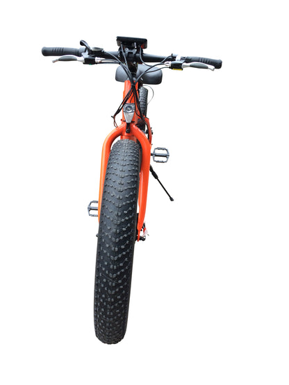 Bintelli E-Bike M1