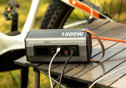 Mokwheel 1000 Watt Inverter