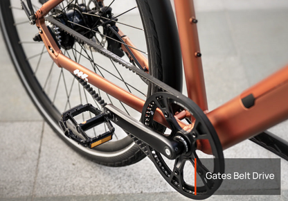 Mokwheel Bike Chain