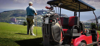 Classic 4 Plus | 4 Person Electric Golf Cart LSV